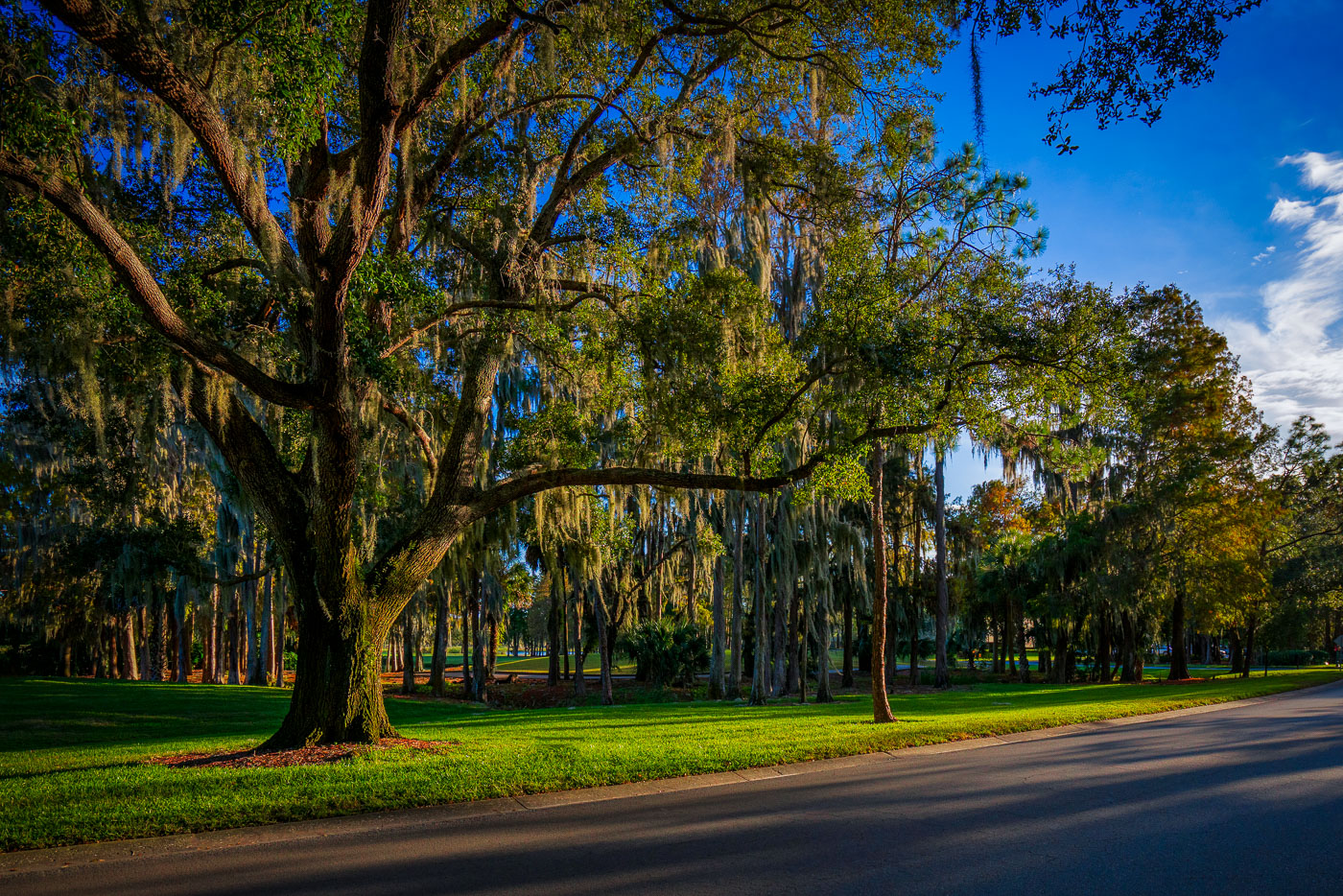 Innisbrook Resort in Florida