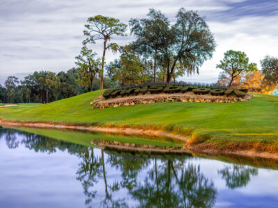 Innisbrook Resort Entrance Landscaping, Palm Harbor, Florida