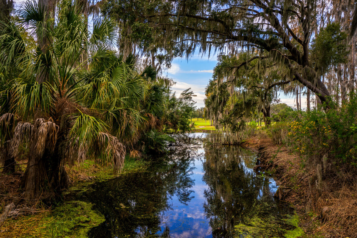 Innisbrook Golf Resort in Palm Harbor Florida.