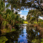 Innisbrook Golf Resort in Palm Harbor Florida.