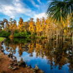Island Golf Course at Innisbrook near Tampa, Florida.