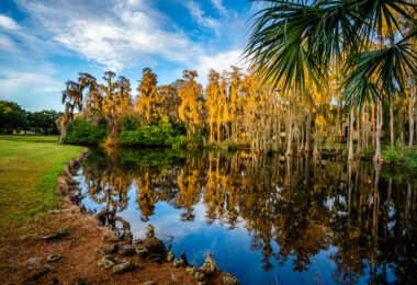 Island Golf Course at Innisbrook near Tampa, Florida.