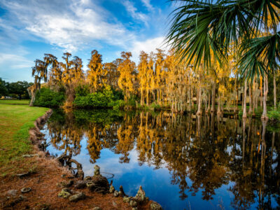 Innisbrook Resort Golf Course, Palm Harbor, Florida