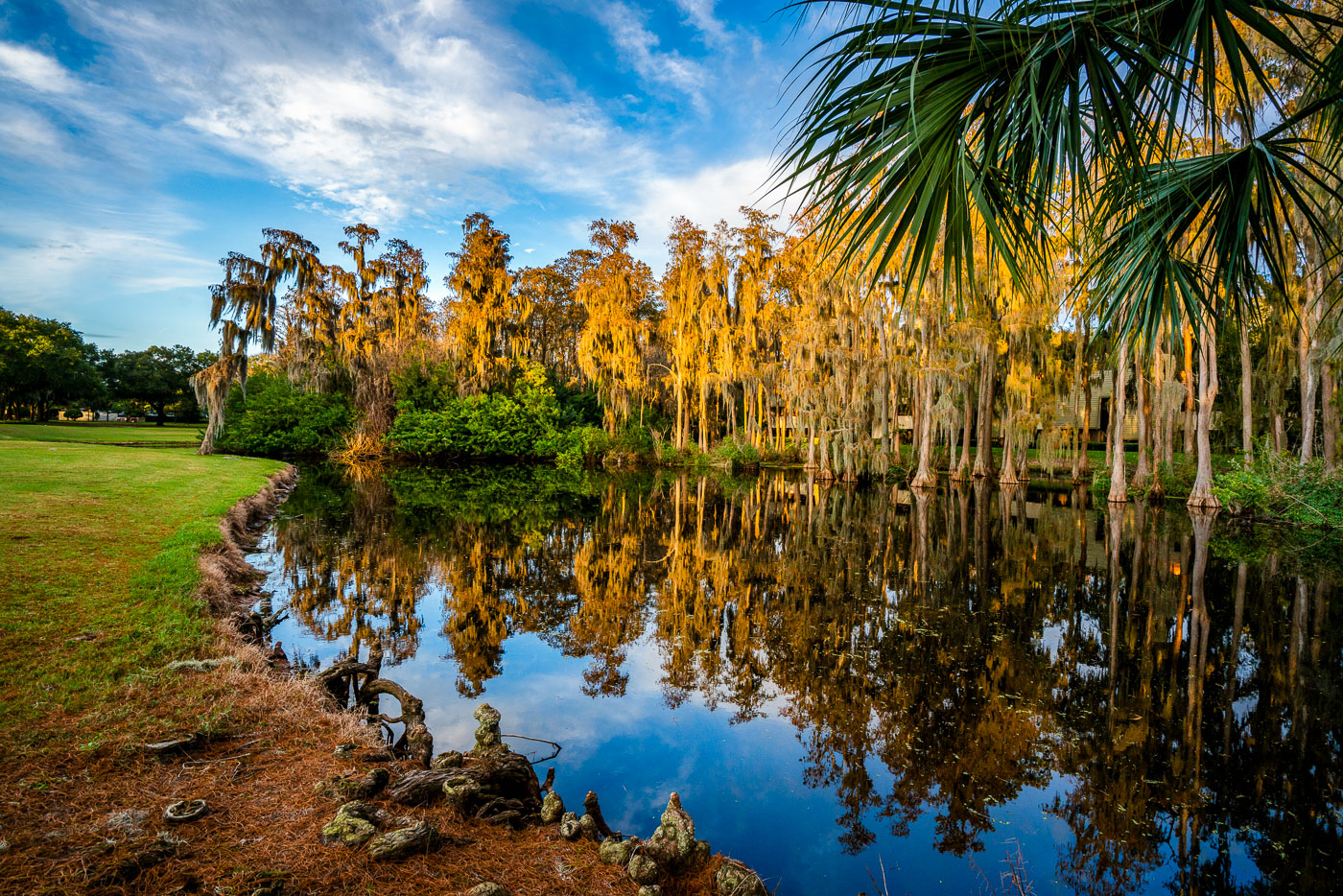 Island Golf Course at Innisbrook near Tampa, Florida.