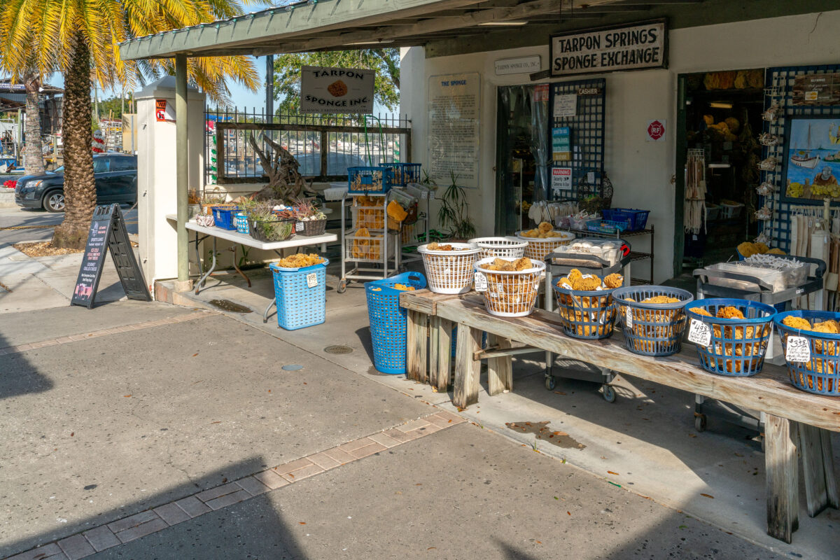 Tarpon Springs Sponge Exchange: Local Sponges for Sale