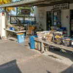Shops selling sponges in Tarpon Springs, Florida.