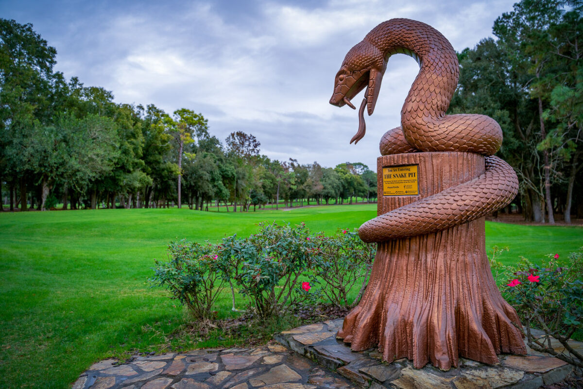 The Snake Pit on Copperhead Golf Course at Innisbrook. Tampa, Palm Harbor Florida.