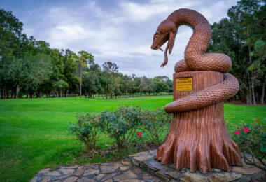 The Snake Pit on Copperhead Golf Course at Innisbrook. Tampa, Palm Harbor Florida.