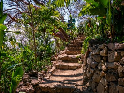 Cerro Tzankujil Trail Steps, San Marcos La Laguna, Guatemala