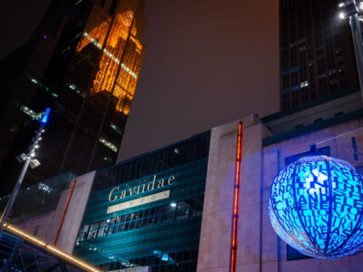 Gaviidae Common and Westin Reflection on Nicollet Mall