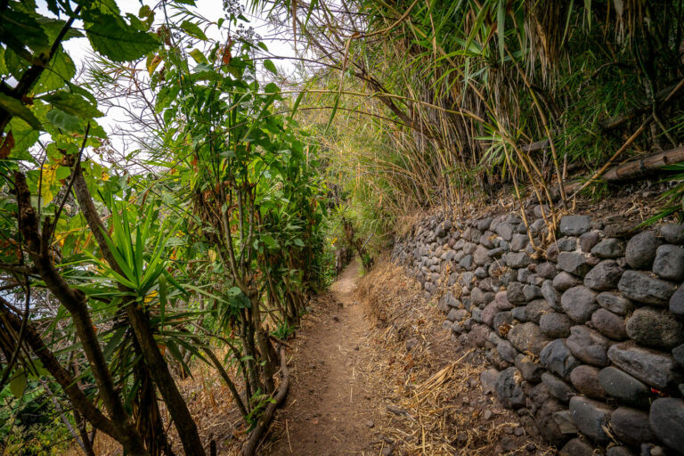 Jaibalito to Santa Cruz Hike 3 Hiking between Jaibalito and Santa Cruz Guatemala.