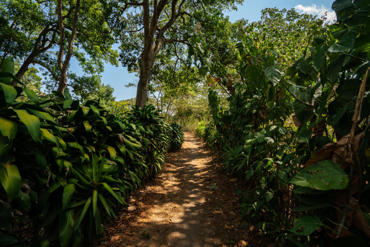 La Voz Coffee Cooperative Trail, San Juan La Laguna, Guatemala