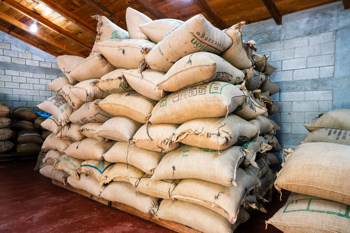 Stacks of coffee bags at Guatemala La Voz coffee