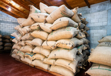 Guatemala La Voz coffee bags.

Seen at the La Voz Que Clama en el Desierto cooperative in  San Juan La Laguna Guatemala.