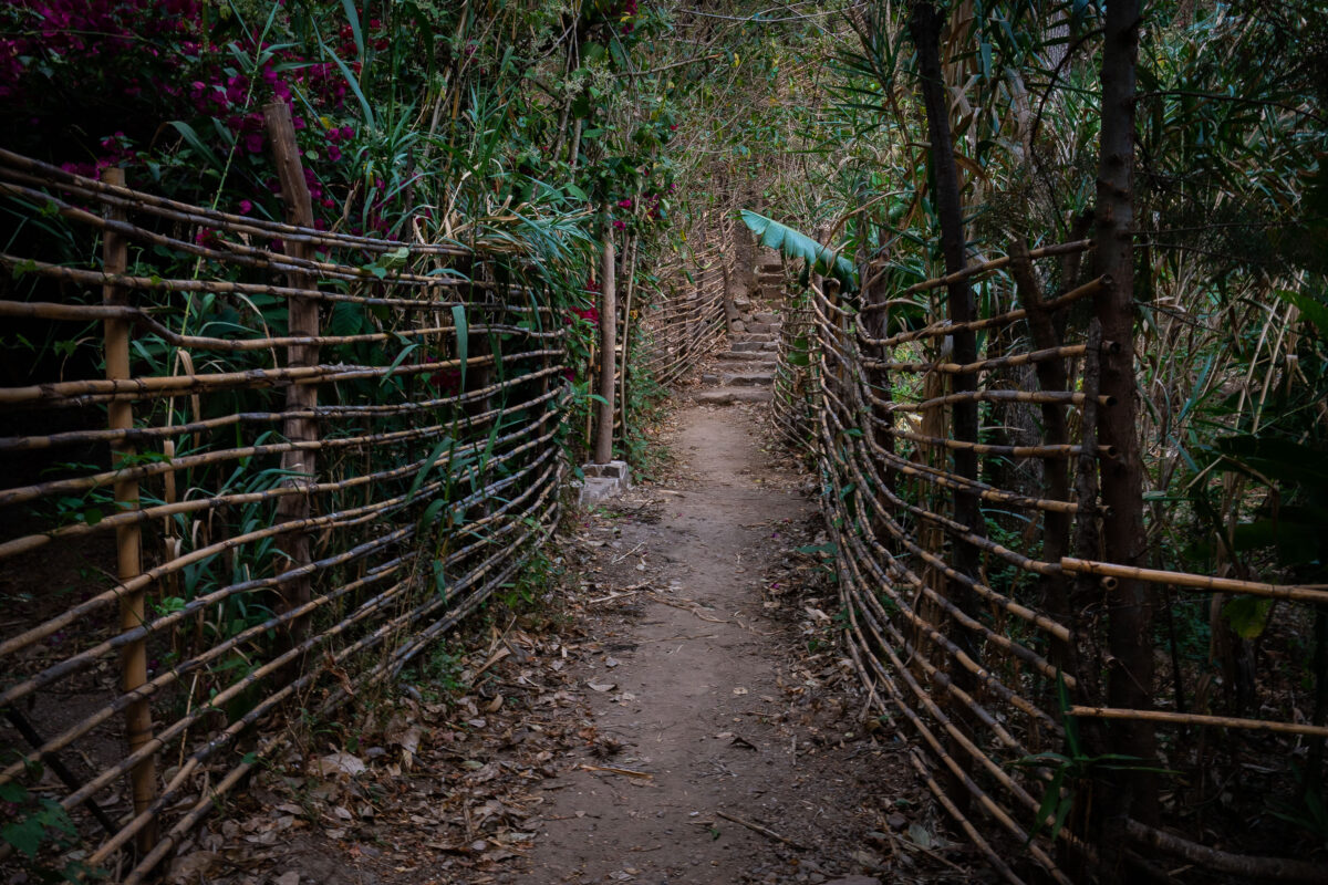 Bamboo Fence Path, Santa Cruz, Guatemala