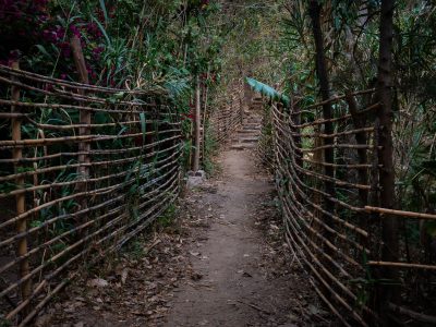 Bamboo Fence Path in Santa Cruz La Laguna, Guatemala