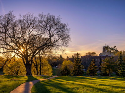 Powderhorn Park Sunset, Path and Tree, April 2020