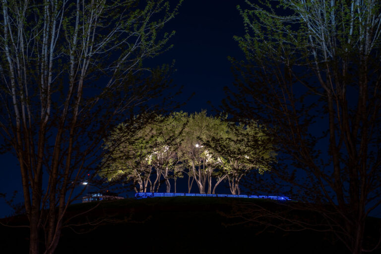 Trees in the middle of Gold Medal Park 2 Gold Medal Park in Minneapolis with the 40+ story "Eleven" rising in the background.