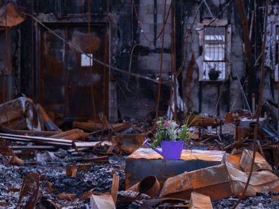 Chicago Ave Burned Building with Flowers, Minneapolis