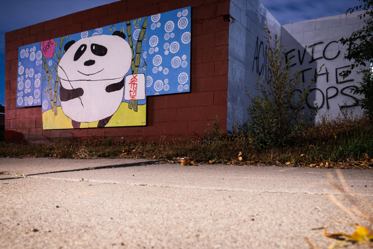 A mural and graffiti on the wall of a building in South Minneapolis.