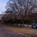 Minneapolis Park Police park near the location of an encampment that was cleared earlier in the day.