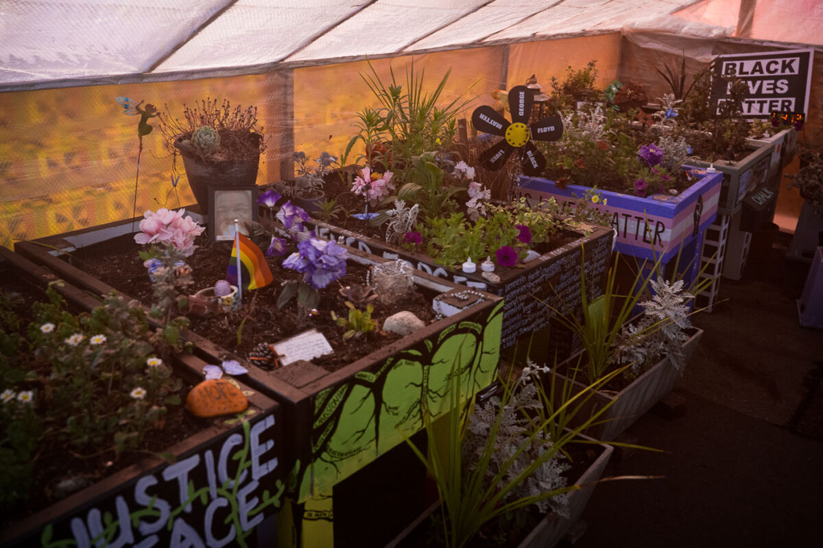 The greenhouse at George Floyd Square where flowers and plants were kept through the winter.