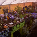 The greenhouse at George Floyd Square where flowers and plants were kept through the winter.