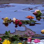 Roses in blood art installation at Chauvin trial 3 Roses in red paint portrayed to look like blood in an installation outside the Hennepin County Government Center. The courthouse is currently holding the Derek Chauvin murder trial. Chauvin is charged in the May 25th murder of George Floyd in South Minneapolis.