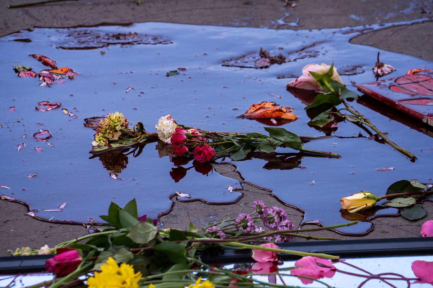 Roses in blood art installation at Chauvin trial