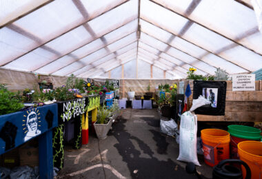 The greenhouse at George Floyd Square where plants were kept from the memorial through the winter. They've since been brought back out into the square.