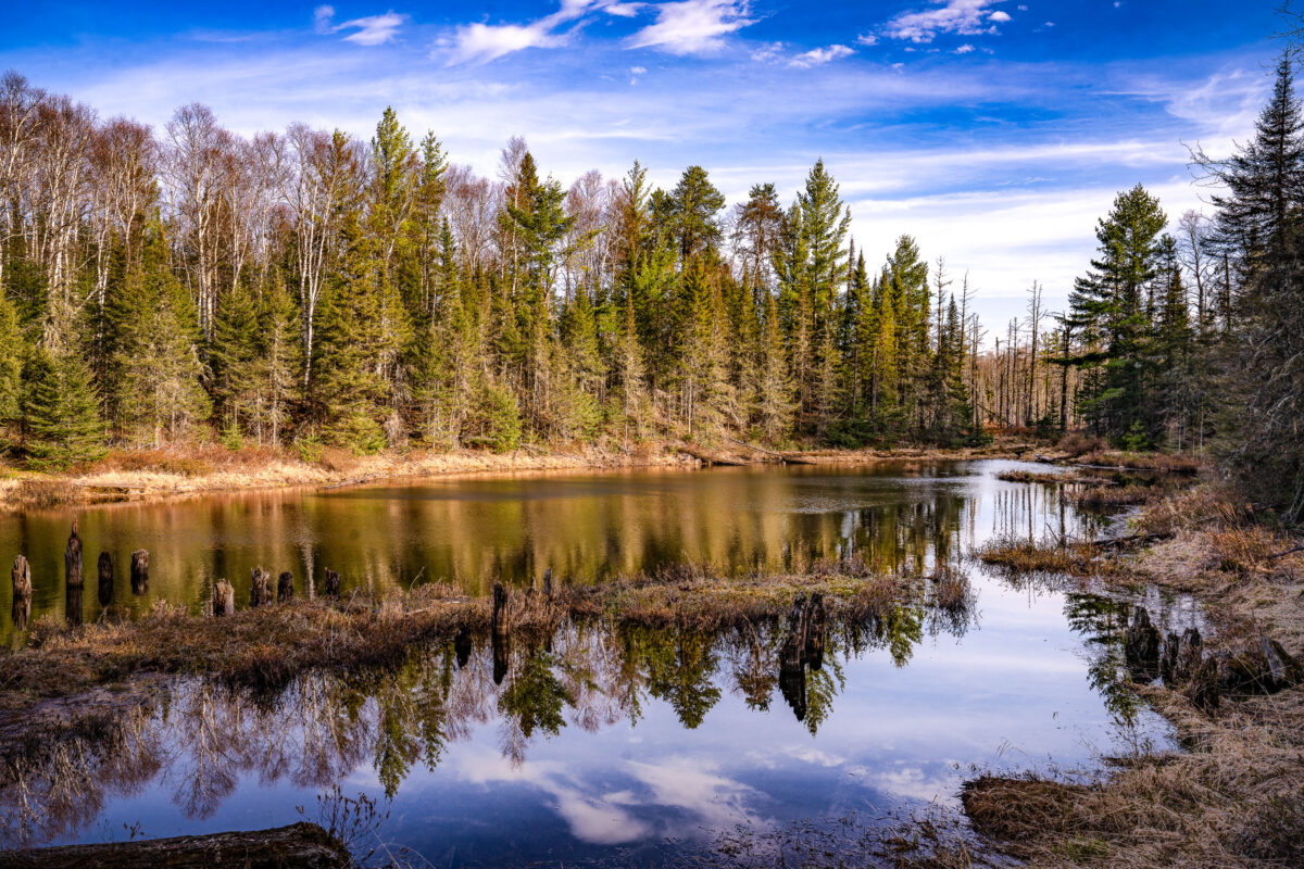 Dumbbell Road near Isabella, Minnesota