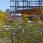 Street poles placed in the grass at the site of a former homeless Encampment in Minneapolis.
