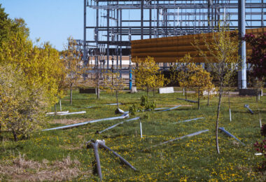 Street poles placed in the grass at the site of a former homeless Encampment in Minneapolis.
