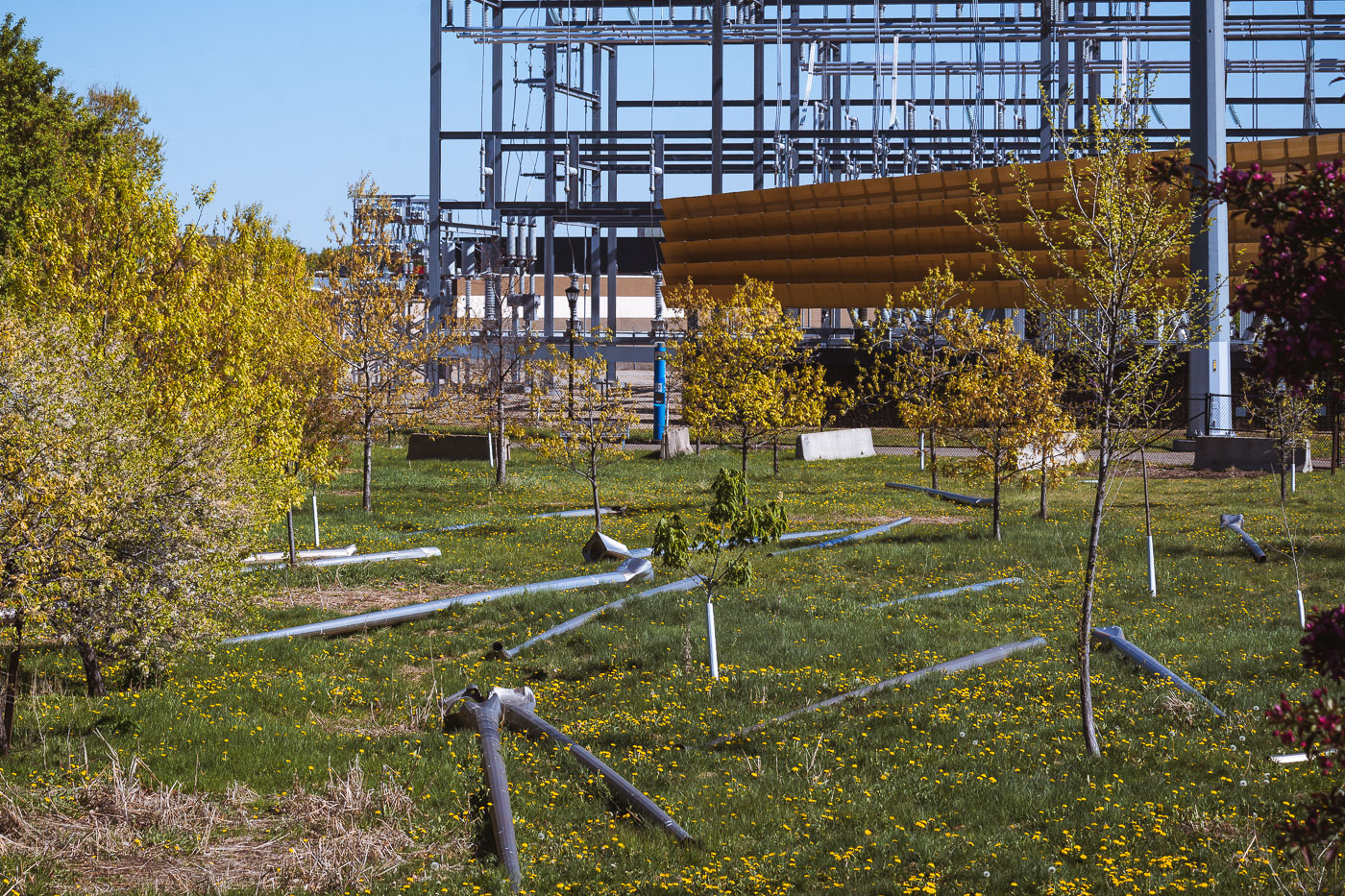 Street poles placed in the grass at the site of a former homeless Encampment in Minneapolis.