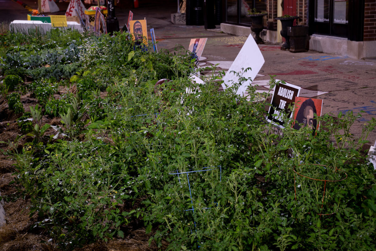 A community vegetable garden located on Chicago Ave in George Floyd Square.
