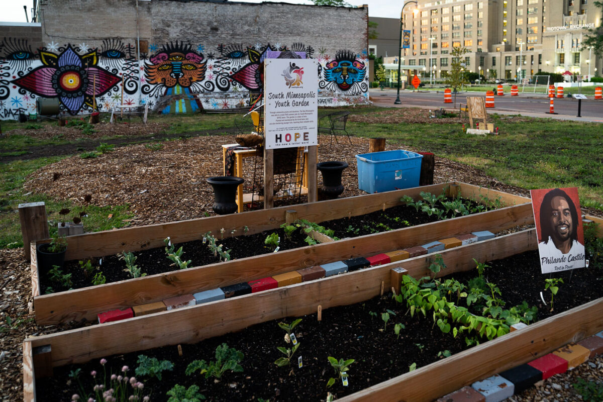 The South Minneapolis Youth Garden at Chicago Ave and Lake Street.