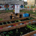 The South Minneapolis Youth Garden at Chicago Ave and Lake Street.