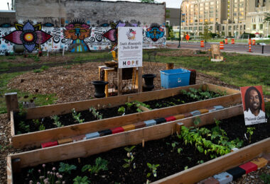 The South Minneapolis Youth Garden at Chicago Ave and Lake Street.