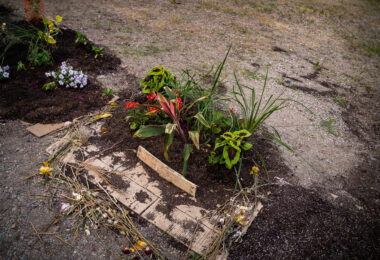 A garden being planted in the empty lot outside of the parking garage where Winston Smith was killed on June 3rd and next to the road Deona Marie was killed on June 13th.

Winston Smith was killed after Hennepin and Ramsey County officers fired their weapons while part of a Federal Task Force serving a warrant. 

Deona Marie was killed when Nicholas Kraus drove his vehicle into those protesting the killing of Smith.