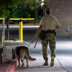 A private security guard walks the grounds of a parking ramp with a dog.