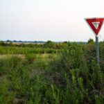 Kasota Prairie Yield Sign 1 Yield Sign seen at Kasota Prairie Scientific and Natural Area.