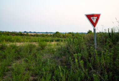 Yield Sign seen at Kasota Prairie Scientific and Natural Area.