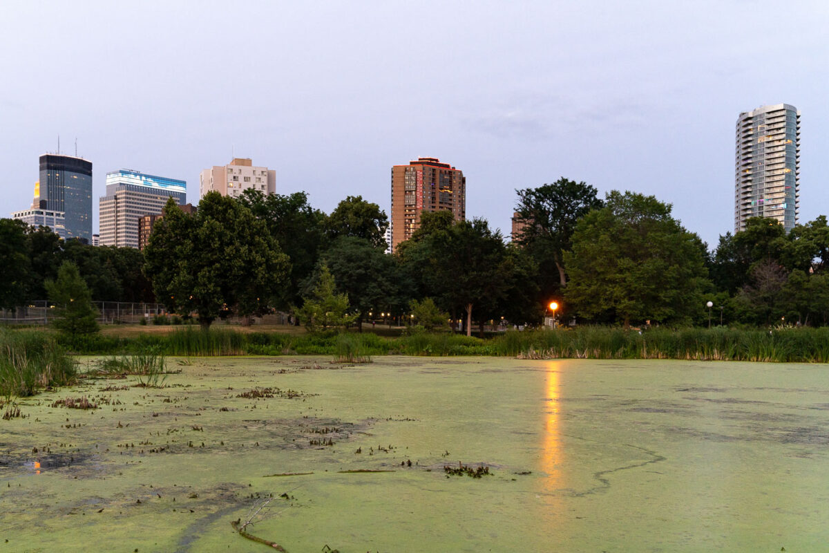 Loring Pond and buildings in Minneapolis
