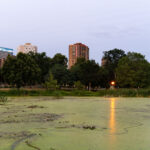 Loring Pond near Downtown Minneapolis