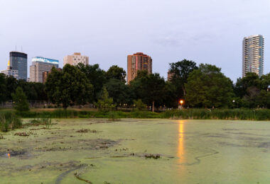 Loring Pond near Downtown Minneapolis