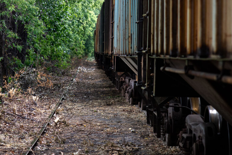 Freight train through the trees in Minneapolis 1 A freight train in Minneapolis on August 2021.
