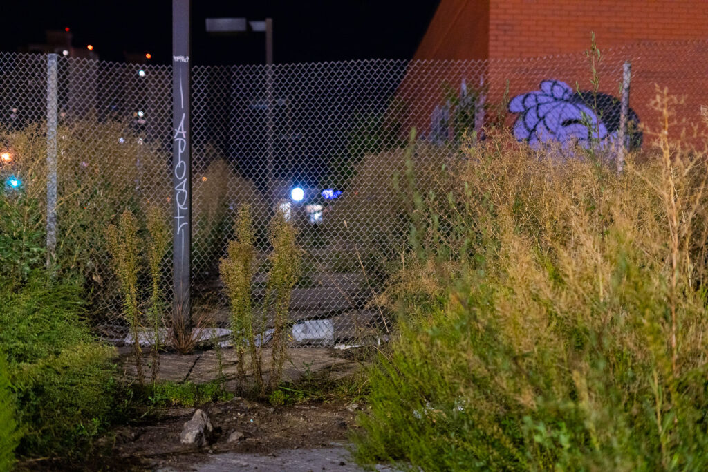 Overgrowth outside a former United States Post Office in South Minneapolis. The Post Office was destroyed during unrest over the murder of George Floyd.