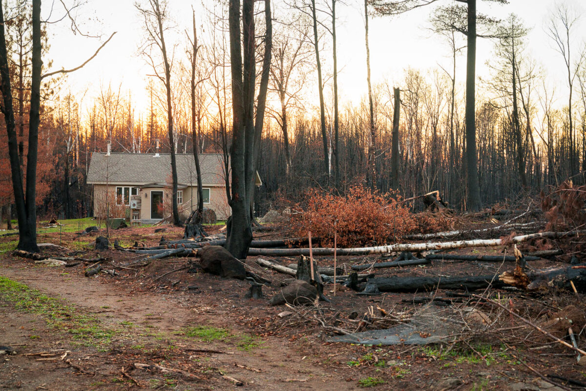 Isabella Home, Greenwood Fire Aftermath, Superior National Forest
