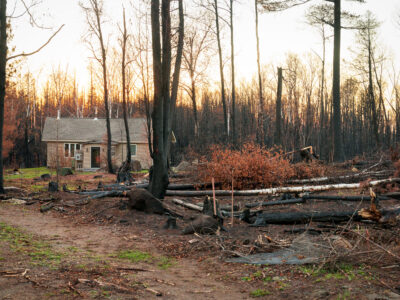 Isabella Home, Greenwood Fire Aftermath, Superior National Forest