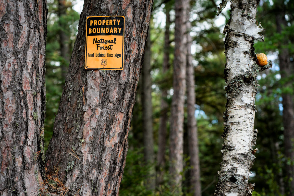Boundary Marker on Superior National Forest Land